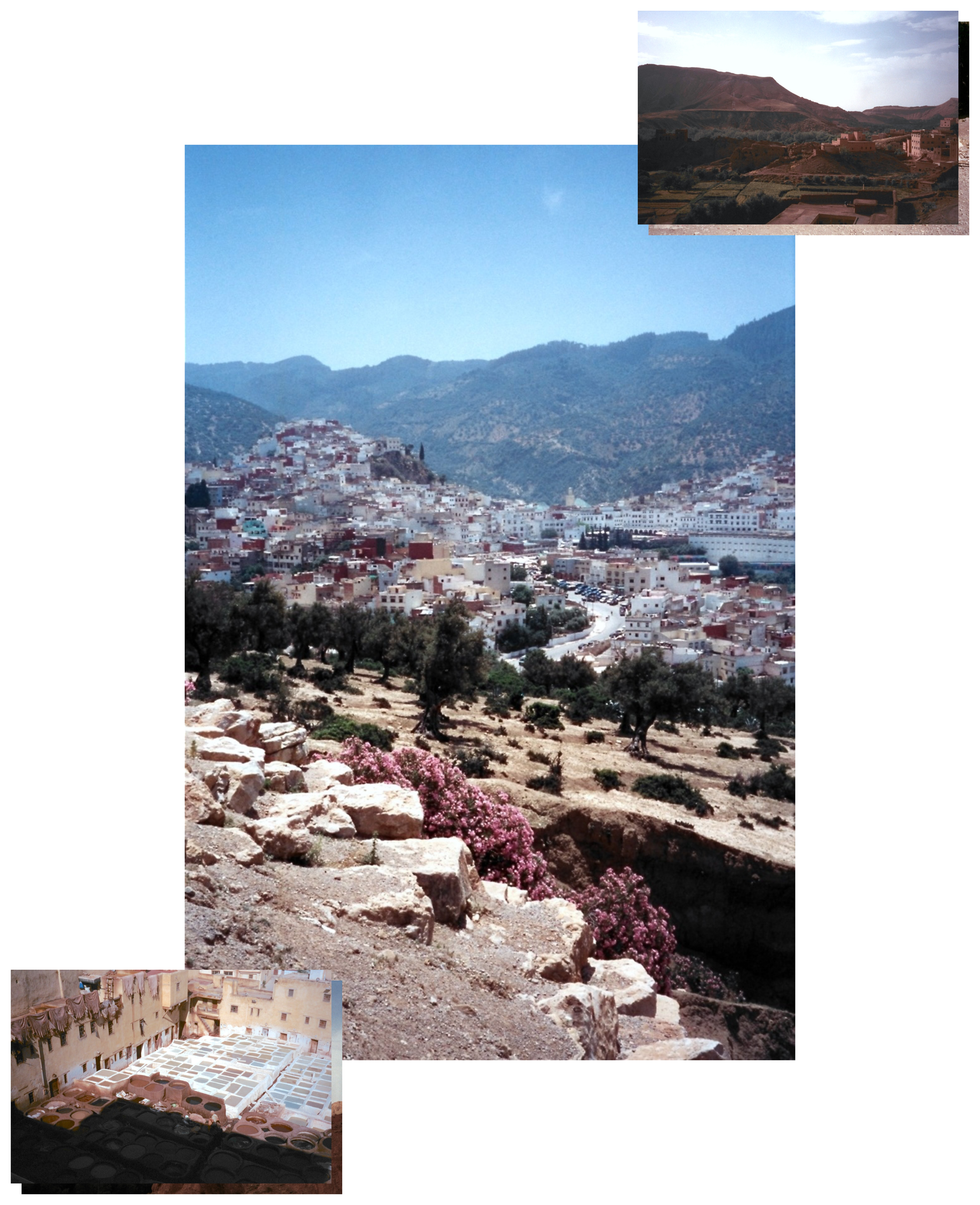 altText of the image